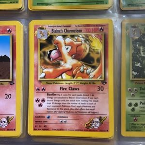 Blaine’s Charmeleon